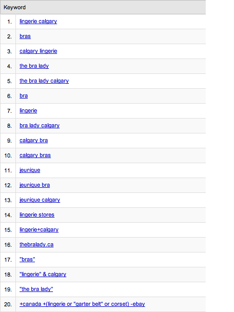 bralady_google_top_keywords.png